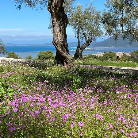 Olive Grove - Excellent View * Frínion