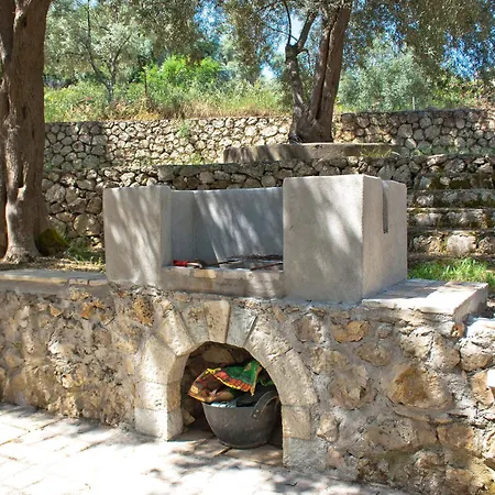 Olive Grove - Excellent View