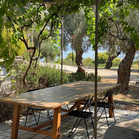 Olive Grove - Excellent View Hébergement de vacances *