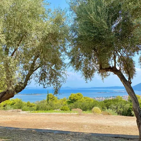 Olive Grove - Excellent View