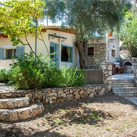 Hébergement de vacances Olive Grove - Excellent View