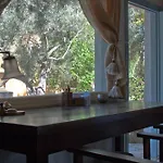 Olive Grove - Excellent View