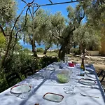 Nyaraló Olive Grove - Excellent View *