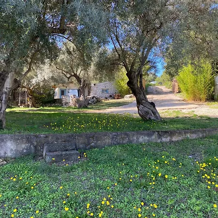 Olive Grove - Excellent View Frinion