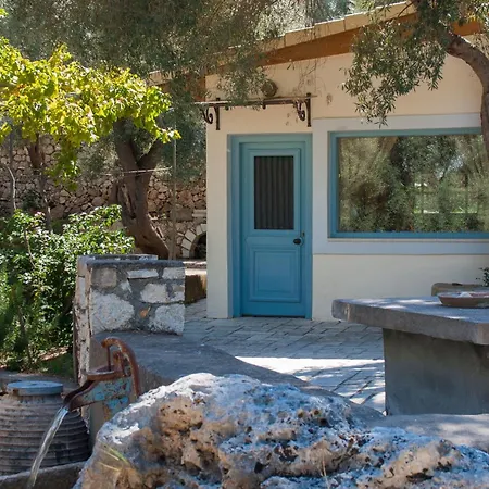Olive Grove - Excellent View *