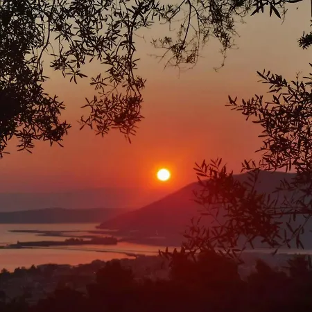 Olive Grove - Excellent View * Φρύνι