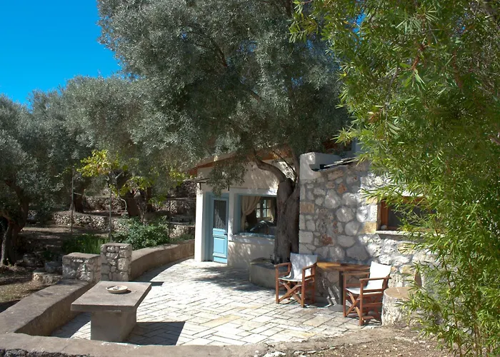 Дом отдыха Olive Grove - Excellent View