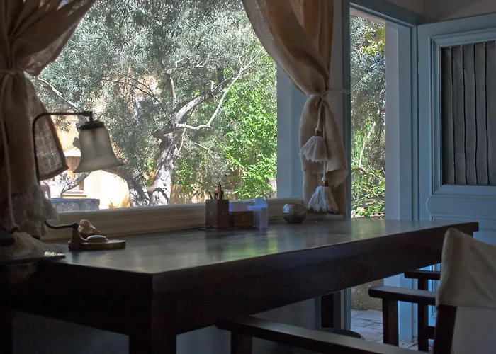 Olive Grove - Excellent View