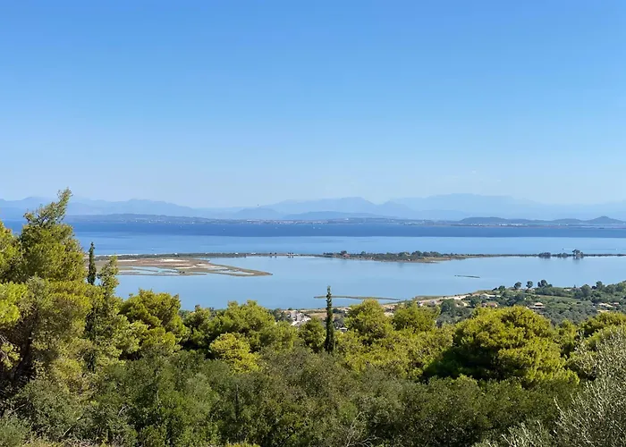 Olive Grove - Excellent View Frinion