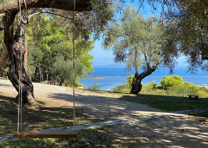 Olive Grove - Excellent View * Frinion