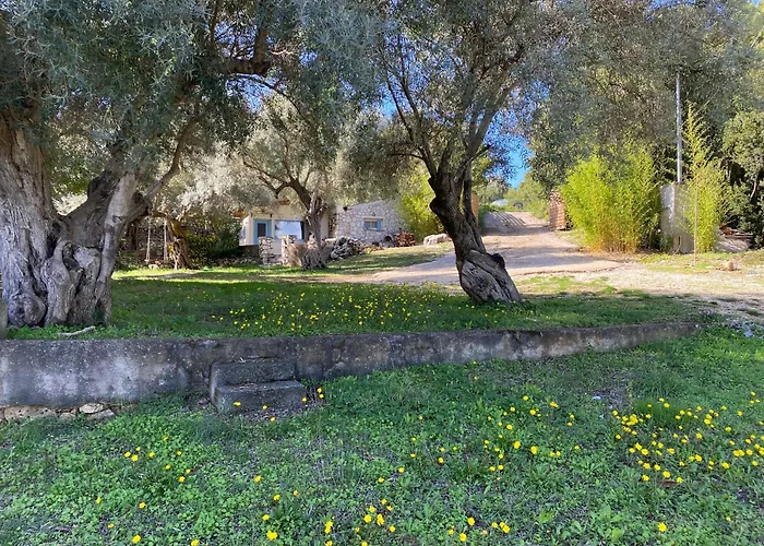 Olive Grove - Excellent View Frinion