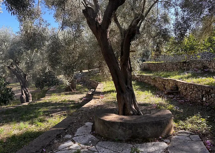 Дом отдыха Olive Grove - Excellent View *
