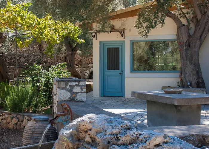 Olive Grove - Excellent View *