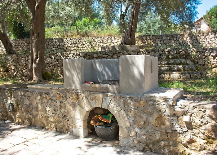 Olive Grove - Excellent View