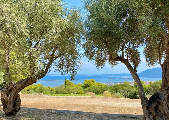 Olive Grove - Excellent View